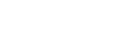 Bruce Logo