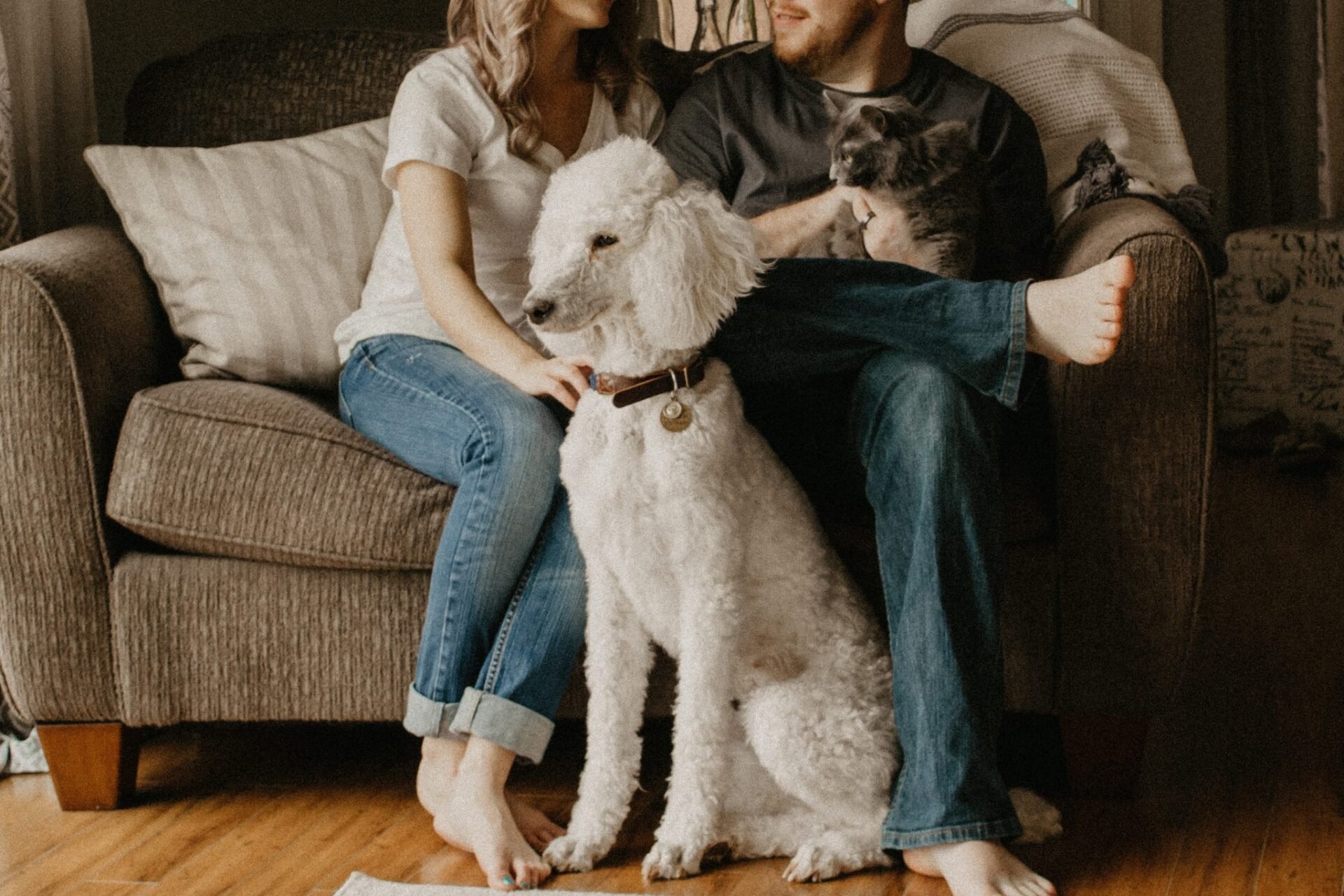 Woman sitting on a sofa hugging her white dog in a cozy living room